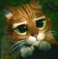 Аватар пользователя marmuletik