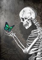 Аватар пользователя Droyder