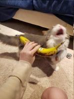 Аватар пользователя SpecM